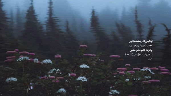 فدات شم برا من ادا نه نیا با صدای زن